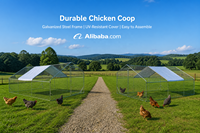 Poulailler pour poulets, idéal pour la ville et les petites fermes, avec enclos extérieur ventilé et abri accessible
