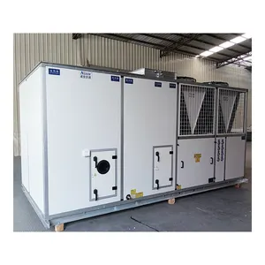 Dehumidifying Air Handling Unit Constant Temperature And Humidity Purification Air Conditioning Unit Factory Supply Wholesale