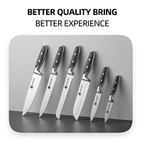 Juego de Cuchillos de Cocina Profesionales de 6 Piezas, Acero Alemán X50CrMoV15, Cuchillos de Acero Inoxidable con Mangos Ergonómicos de Pakkawood para OEM