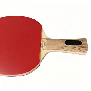 Raquette de tennis de table professionnelle, écologique et durable, en bois massif monocouche, caoutchouc à picots longs en carbone, éponge de 1,8 mm, poignée horizontale - Product Image 4