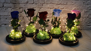 Rose unique préservée sous cloche en verre avec lumières LED - Alimentée par piles, base en <span class=keywords><strong>mousse</strong></span> - Décoration romantique pour la maison et cadeau - Product Image 4