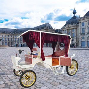 Carruaje Eléctrico de Lujo para Bodas o Turismo, Precio de Fábrica - Product Image 1