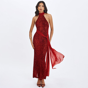 Robe longue imprimée à col halter avec dos transparent, robe de soirée dos nu, taille naturelle - Product Image 1