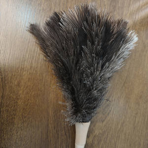 <span class=keywords><strong>Plumeau</strong></span> d'autruche domestique de couleur naturelle avec manche en bois fabriqué en Chine <span class=keywords><strong>plumeau</strong></span> de nettoyage <span class=keywords><strong>lavable</strong></span> nettoyeur de poussière efficace - Product Image 4