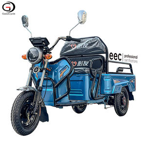รถสามล้อไฟฟ้า2024 EEC E-Rickshaw 500กก. จักรยานไฟฟ้าทรงตัว <span class=keywords><strong>GM110</strong></span> - Product Image 1