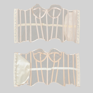 Corsé Elegante de Malla Transparente sin Tirantes con Escote Corazón y Varillas, Cincher de Cintura, Bodice Sobrepecho para Sesión de Fotos Nupcial - Product Image 6