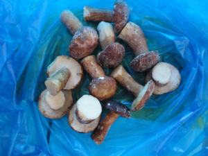 IQF Frozen <span class=keywords><strong>Boletus</strong></span> <span class=keywords><strong>Edulis</strong></span> - Product Image 5