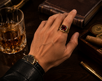 JLM Retro Gold Edelstahlring für Herren mit großem quadratischem roten Stein, Biker-Punk-Siegelring – Bestseller