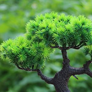 V-3283 Hot Seller Kunstmatige Bonsai Boomplanten Met Vaas voor Tafeldecoratie - Product Image 5