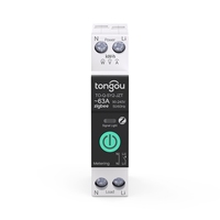 API TUYA Zigbee 3.0 Smart Life Mcb 1P 63A 3.5mm Rail DIN Mini commutateur de télécommande sans fil domotique intelligente