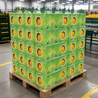 Geoptimaliseerde gegolfde productenverpakking voor koelcontainers, op maat gemaakte afmeting, luchtgleuven, kraftpapier, fruit- en groentekarton voor export