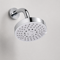 Douche suspendue circulaire chromée de luxe contemporaine avec revêtement anti-oxydation pour projets résidentiels et hôteliers modernes
