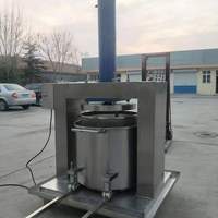 Commerciële Koude Pers Hydraulische Pers Druif Duindoorn Loquat Aloë Vera Cassave Fruit Juicer Extractor Machine