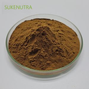 차가버섯 추출물 분말 다당류 30% 항산화 면역 및 소화 지원-초점 에너지 선명도 웰빙 - Product Image 6