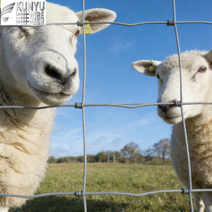 Clôture <span class=keywords><strong>pour</strong></span> moutons galvanisée 100cm 120cm, <span class=keywords><strong>grillage</strong></span> progressif tissé, fil de 2mm minimum avec fil barbelé galvanisé - Product Image 1