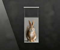 OLED transparent suspendu verticalement de 55 pouces |   Affichage 1080P à 43 % de transmittance ultra-mince, compatible SDK, pour les magasins de détail, les centres commerciaux et l'animation