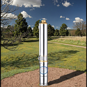<span class=keywords><strong>Pompe</strong></span> à Eau Submersible Monophasée 0,75 CV 4SDM8-5 Direct Usine pour Irrigation Agricole et <span class=keywords><strong>Forage</strong></span> de Puits Profonds - Product Image 6