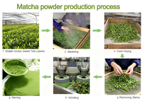 Poudre de Matcha de Qualité Cérémonielle, Livraison Rapide, Usine ISO, Matcha Japonais, Poudre de Matcha de Qualité Cérémonielle