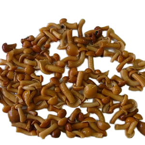 <span class=keywords><strong>Champignons</strong></span> Nameko en conserve de qualité supérieure HACCP, en saumure, <span class=keywords><strong>champignons</strong></span> sauvages Pholiota sains, edibles, sélectionnés par un fournisseur d'aliments naturels - Product Image 3