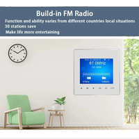 Amplificateur mural intelligent pour maison connectée, mini-panneau audio tactile pour plafond, musique d'ambiance, récepteurs 2.0 canaux, fabriqué en Chine