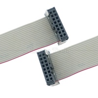 Cable Plano IDC Hembra a Hembra de 16 Pines y Paso de 1.27mm - Gris, Longitud Personalizable para Aplicaciones Electrónicas GPIO de Raspberry Pi