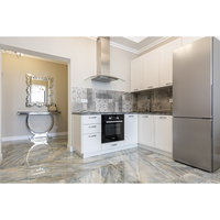 Ensemble d'armoires de cuisine modernes de luxe avec portes plates et portes vitrées, tiroirs à fermeture douce