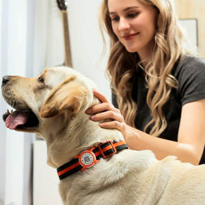 Sang Trọng Vòng Dấu Chân Con Chó ID Huy Hiệu Tag Tùy Chỉnh NFC Mã Qr Làm Bằng Kim Loại Và Nhựa Cho Vật Nuôi Sang Trọng - Product Image 6