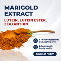 Complément Xanthophyll Lutéine Floraglo Extrait Pur de Fleur de Souci Complément Oculaire 10% Lutéine
