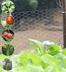 Malla de Alambre Hexagonal Soldada de Hierro Galvanizado, Color Plateado, Tamaño Personalizado, Marca Yuking, para Jardinería, Soporte de Árboles y Plantas - Product Image 5