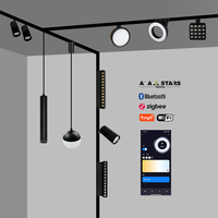 Système de rail LED 48V blanc/noir pour plafond, encastré, avec rail magnétique pour éclairage sur rail magnétique