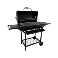 Barbecue au charbon de bois moderne NL avec revêtement en poudre, pliable, double face, avec roues, pour jardin, fête, personnalisable