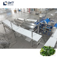 Ligne de transformation multifonctionnelle LWT pour fruits avec pasteurisateur, friteuse, échangeur de chaleur, mélangeur et laminoir à pâte pour la production de wakamé en sachet