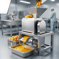 Industriële fruit- en mangobes-pulpmachine met motor, hoge productiviteit, 304 roestvrij staal