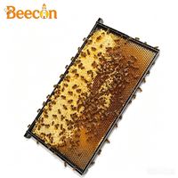 Kunststoff-Wabenrahmen Kunststoffrahmen für Bienen Kunststoffrahmen mit Grundlage