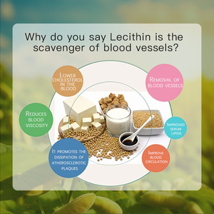 OEM ODM Factory High Potency Soy Lecithin <strong>Softgel</strong> Good for Blood Natural High Purity Soybean Lecithin - Product Image 3