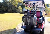 HDK EVOLUTION Mini-bus de tourisme économique, Buggy tout-terrain, Voiturette de golf électrique à 4 roues
