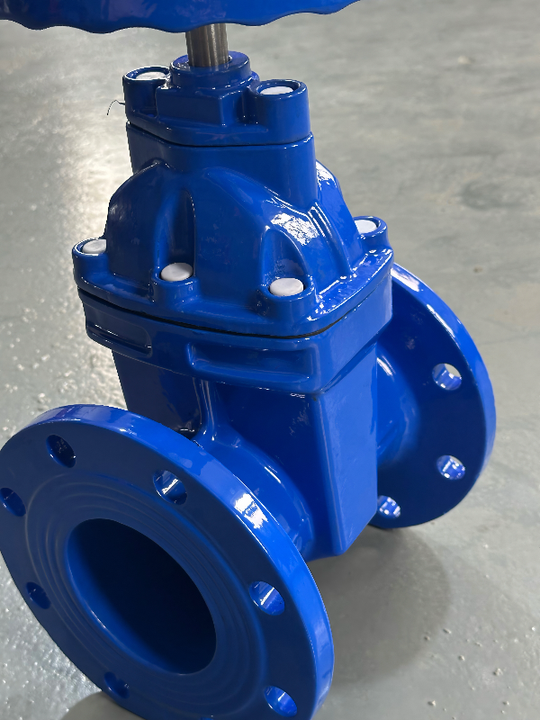 Cast Iron Manual Gate Valve with Resilient Soft Sealing Stem Flange Design Soft Sealing Gate Valve