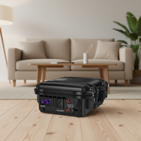 Station d'alimentation solaire hors réseau personnalisée noire 220v 300w 777wh avec batterie au lithium