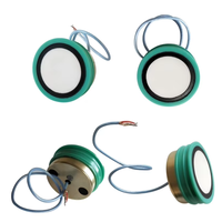 Vente en gros Capteur à ultrasons haute fréquence DM175 28mm 175kHz pour la détection de distance