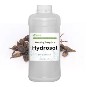 Factory Directly Supplier of Best Quality 100% Pure Weeping Forsythia Hydrosol for Respiratory System