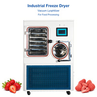 Lyophilisateur à basse température sous vide pour séchage doux des matériaux sensibles à la chaleur – Lyophilisateur commercial de taille moyenne