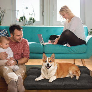 Nuevo diseño, alfombrilla grande para perros, antideslizante, suave, transpirable, cama para cachorros, mascotas no peludas, colchón para perros para mantener el calor - Product Image 5