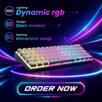Clavier de jeu mécanique filaire OEM ODM 60% MK61P 61 touches rétroéclairé LED personnalisé pour joueurs
