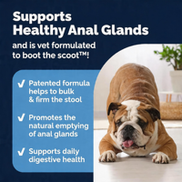 Friandises à mâcher Glandex pour les glandes anales, aux graines de citrouille, enzymes digestives, probiotiques et fibres, complément alimentaire pour grands chiens, approuvé par les vétérinaires