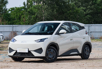 BYD Seagull 2025 Édition Smart Drive Voiture Électrique Autonomie 401-500km Puissance 150-200kW Compacte et Efficace