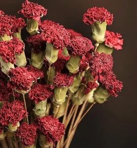 زهور القرنفل المجففة عالية الجودة بالجملة من هواهوان - حل متكامل لتخصيص الزهور المحفوظة للزفاف وديكور المنزل - Product Image 3