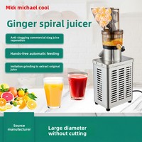 Extracteur de jus commercial entièrement automatique haute puissance, grand séparateur de pulpe de fruits et légumes industriel