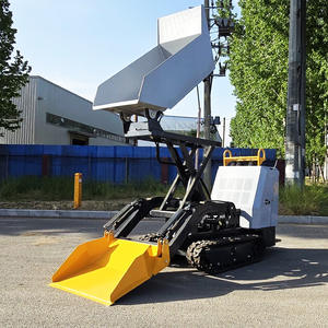 Camión Volquete Autodescargable para Exportación a Europa, para Huertos, Jardines, Cosecha y Transporte, Construcción, Granjas y Cría - Product Image 2