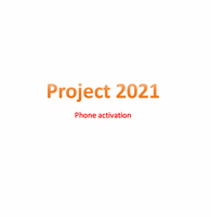 Project Professional 2016/2019/2021 Versione Pro, Software per Server di Networking Aziendale, Spedizione Online Globale Garantita