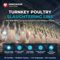 Ligne d'abattage de poulets halal clé en main pour abattoirs de 300 à 10 000 poulets par heure, service tout-en-un de la part de l'usine source